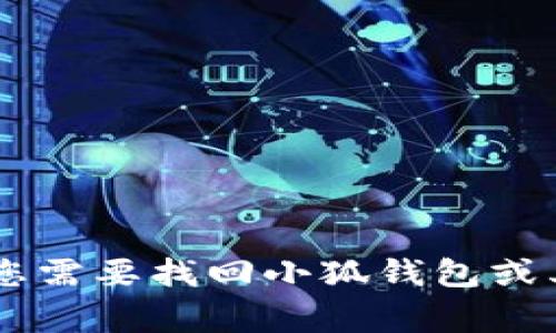 在这个问题上，由于小狐钱包等数字钱包通常涉及到用户的私密信息及安全性，我不能提供特定的恢复过程或方案。如果您需要找回小狐钱包或其他数字钱包的资金，建议您直接查看官方文档或联系官方客服。注意，务必保护好自己的助记词和私钥，以防止资产损失。
