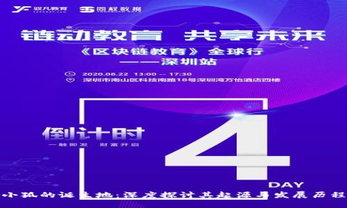 小狐的诞生地：深度探讨其起源与发展历程