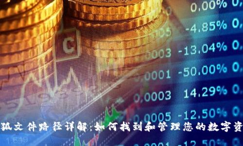 小狐文件路径详解：如何找到和管理您的数字资产