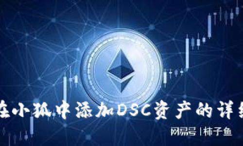 如何在小狐中添加DSC资产的详细指南