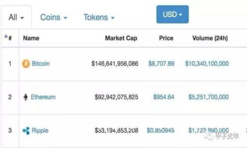 小狐中文版下载指南：全面解析与使用体验